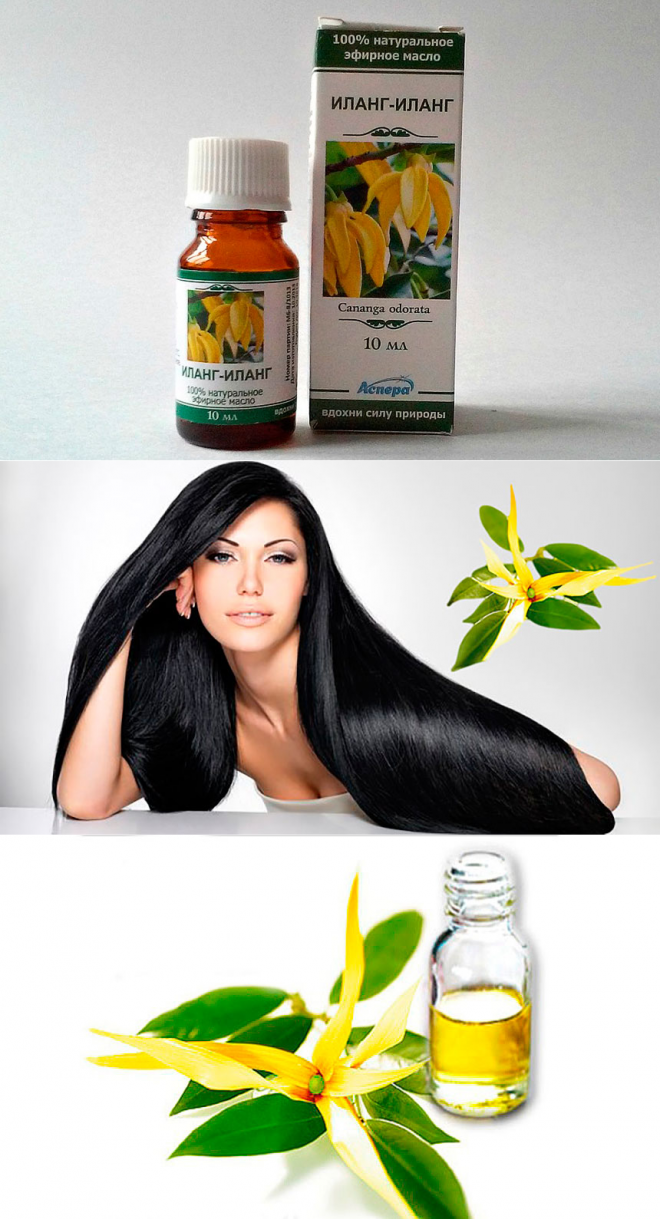 Эфирное масло иланг-иланг для волос: способы применения, полезные свойства и маски