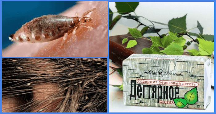 Дегтярное мыло для роста волос: какое действие оказывает на волосы, правила нанесения и способы применения