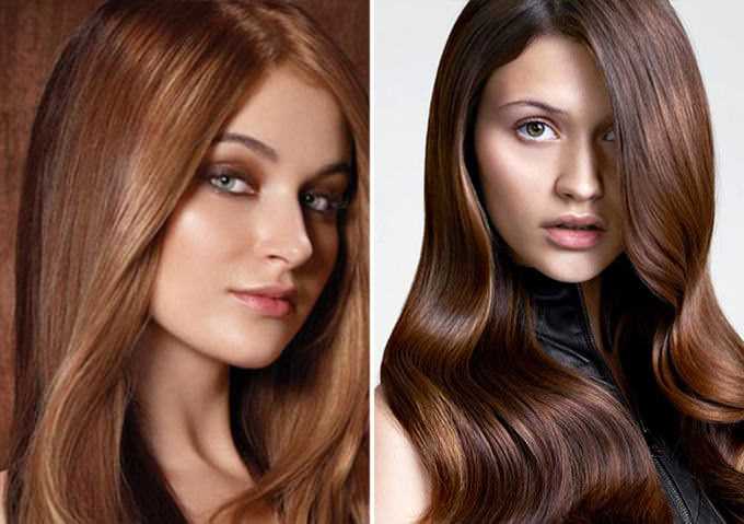 Как покрасить волосы в каштановый цвет волос модные оттенки с фото