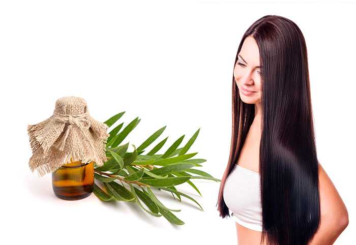 Применение масла чайного дерева для волос: полезные свойства и маски