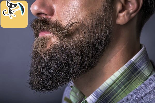 Сколько растет борода по времени: и что влияет на ее рост.