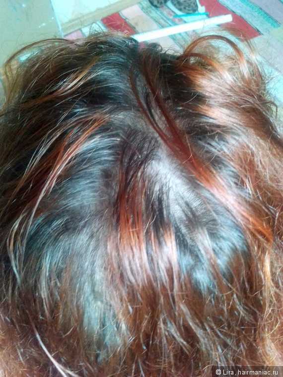 Можно ли обычную краску наносить на волосы