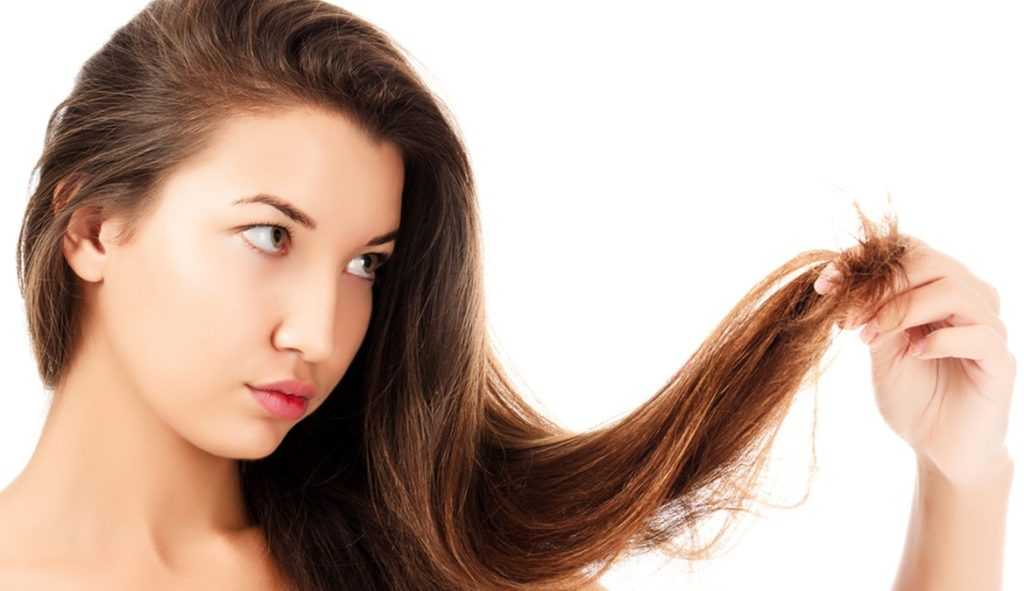 Как определить свой тип волос и подобрать правильный уход