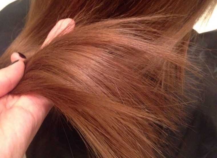 Секутся волосы: что делать в домашних условиях? обзор эффективных народных методов