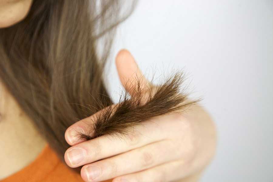 Почему секутся кончики волос: причина и лечение, что значит