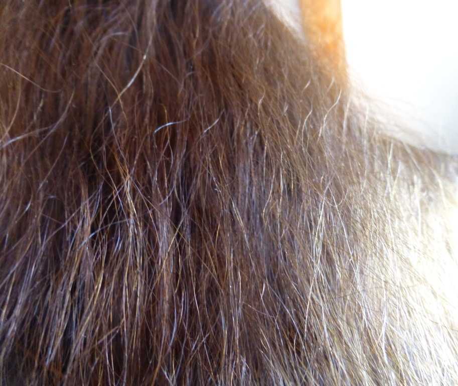 Уход за всеми типами волос. секреты ухода за волосами в домашних условиях, методы и средства ухода за волосами.