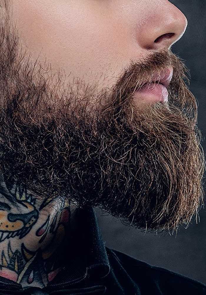Многообразие видов бороды у мужчин: название, описание, фотография