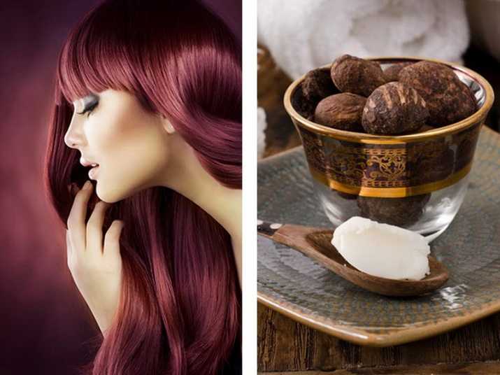 Как использовать масло ши для волос: 5 правил и полезные свойства