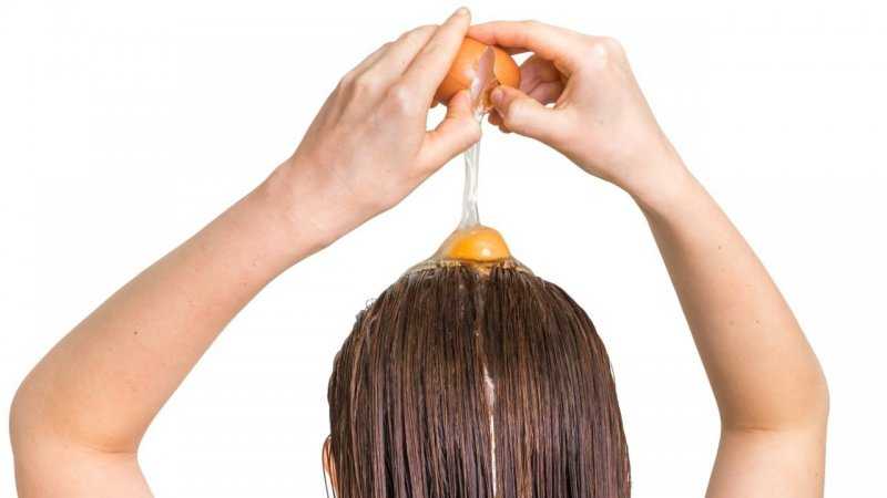 Маски для сухих кончиков волос в домашних условиях: 10 лучших