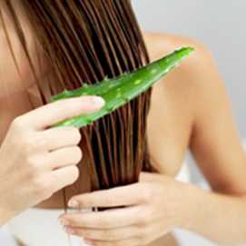 Как сделать натуральный спрей для роста волос: 5 домашних рецептов