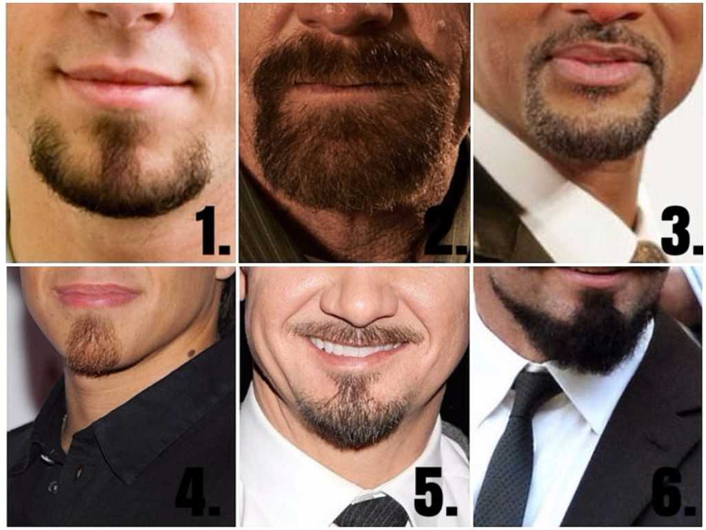 Стили бороды. как выбрать по типу лица форму бороды