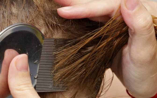 Чемеричная вода для роста волос: эффективное применение и отзывы